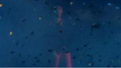 海洋最新爆料视频下载,最新海洋爆料视频深度解析 第1张 海洋最新爆料视频下载,最新海洋爆料视频深度解析 第1张